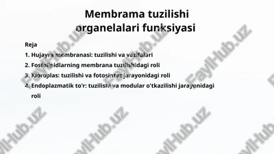 membramatuzilishiorganelalarifunksiyasi — PPTX