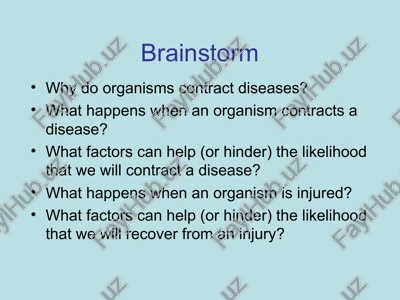 basic organization and function of the immune system — PPT
