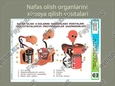 nafasolish organlarini ximoya qilish vositalari — PPTX