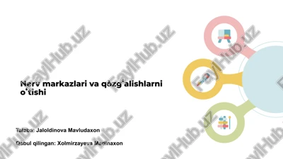 nerv markazlari va qòzgʻalishlarni oʻtishi — PPTX