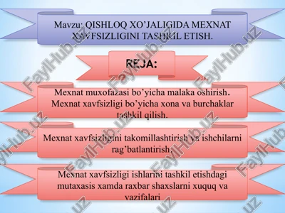 mexnat xavfsizligi tashkili — PPTX