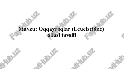 oqqayroqlar(leuciscidae)oilasi tavsifi — PPTX