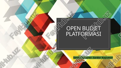 openbudjetplatformasi — PPTX