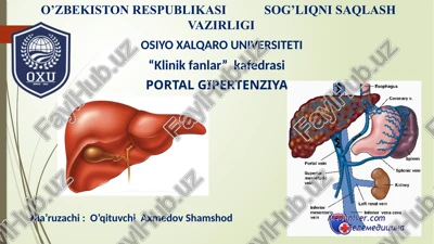 portal gipertenziya — PPTX