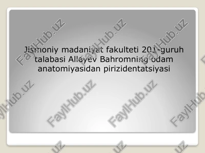 suyaklar haqida qisqacha — PPTX
