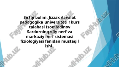 oliy nerv va markaziy nerv sistema fiziologiyasi — PPTX