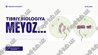 meyoz — PPTX