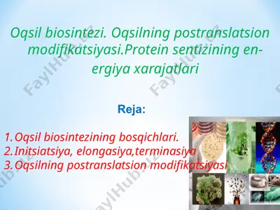 oqsil biosintezi. oqsilning postranslatsion modifikatsiyasi. protein sentizining energiya xarajatlari — PPTX