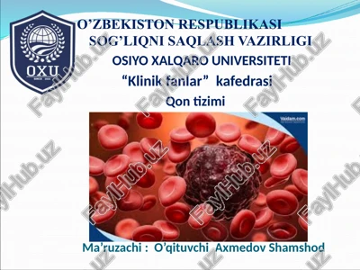 qontizimi — PPTX