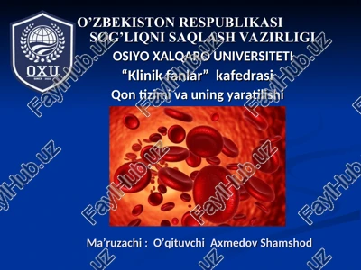 qon tizimi va uning yaratilishi — PPT