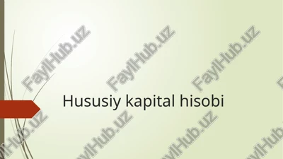 hususiy kapital hisobi — PPTX