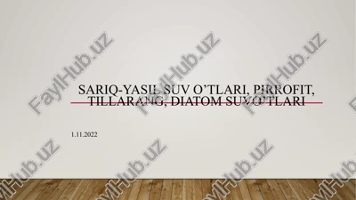 sariq-yasilsuvo’tlari, pirrofit, tillarang, diatomsuvo’tlari — PPTX