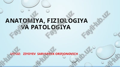 salomatlik va kasallik — PPTX