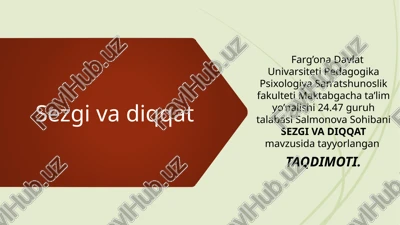 sezgivadiqqat — PPTX
