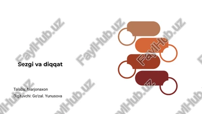 sezgi va diqqat — PPTX