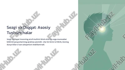 sezgi va diqqat: asosiy tushunchalar — PPTX