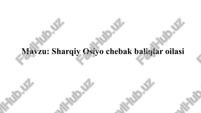 sharqiy osiyo chebak baliqlar oilasi — PPTX