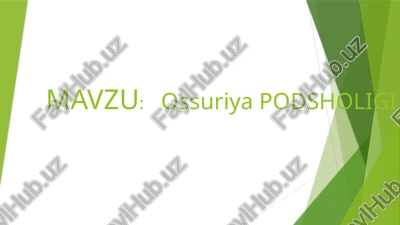 ossuriyapodsholigi — PPTX