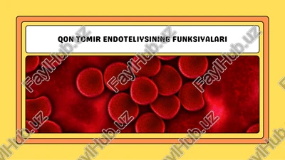 qon tomir endoteliysining tuzilishi — PDF