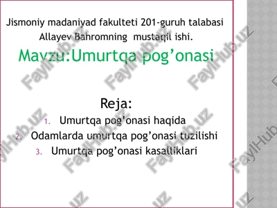 umurtqapog’onasi — PPTX