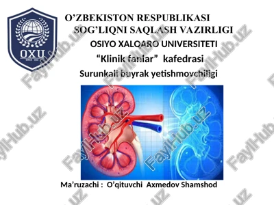 surunkali buyrak yetishmovchiligi — PPT