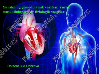 yurakning gemodinamik vazifasi — PPT