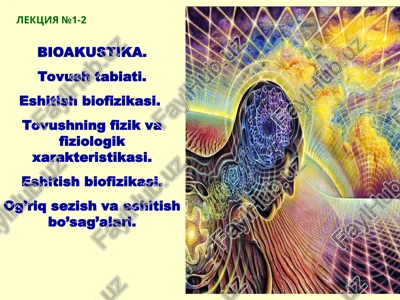 bioakustika — PPT