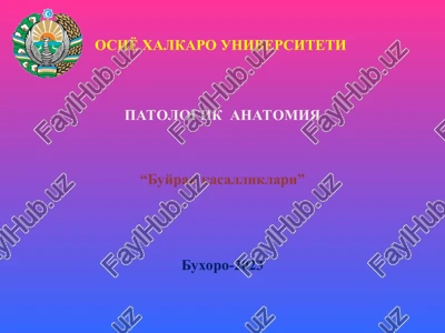 buyrak kasalliklari — PPT