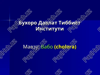 vabo (cholera) — PPT