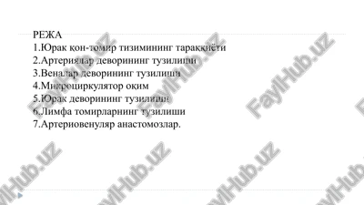 yurak-tomirlar sistemasi — PPTX