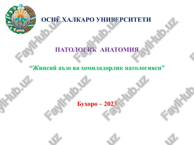 jinsiy a'zo va xomiladorlik patologiyasi — PPTX
