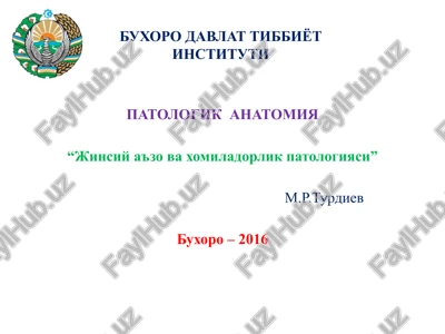 ayollar jinsiy a'zolari anatomiya va fiziologiyasi — PPTX