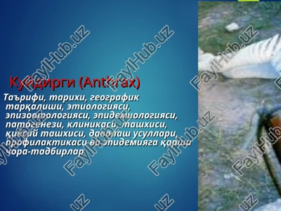 kuydirgi(anthrax) — PPT