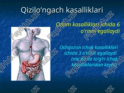 qizilo‘ngach kasalliklari — PPT