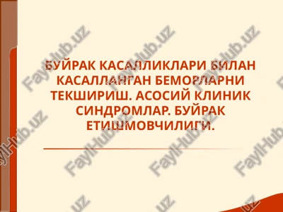 buyrak kasalliklari bilan kasallangan bemorlarni tekshirish. asosiy klinik sindromlar. buyrak etishmovchiligi.ppt — PPT