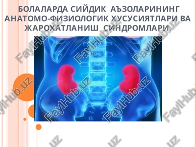 bolalarda siydik a'zolarining anatomo-fiziologik xususiyatlari va jaroxatlanish sindromlari — PPT