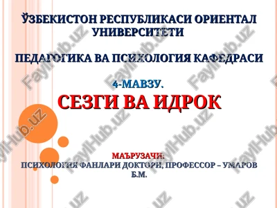 sezgi va idrok — PPT