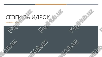 sezgi va idrok — PPTX