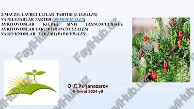 lavrgullilar tartibi (laurales) — PPTX