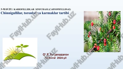 kariofillidlarsinf — PPTX