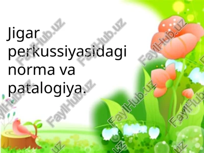 jigar perkussiyasi — PPT