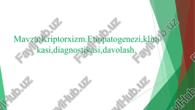 kriptorxizm — PPT