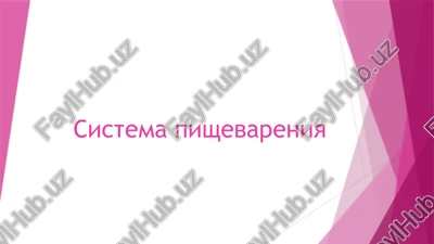sistema pishevareniya — PPTX