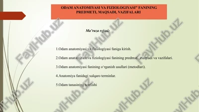 odam anatomiyasi va fiziologiyasi — PPTX