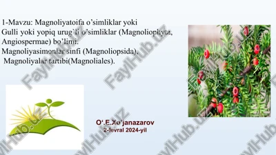 gullio‘simliklarmagnoliophyta — PPTX