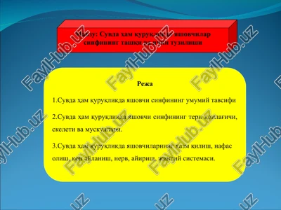 suvda ham quruqlikda yashovchilarning umumiy tavsifi — PPT