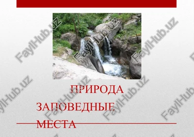 priroda zapovednie mesta — PPTX