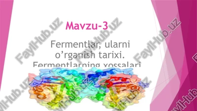 fermentlar — PPTX
