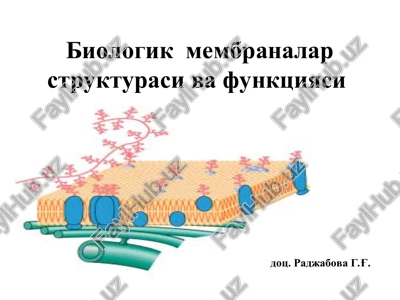 biologik membranalarstrukturasi va funktsiyasi — PPT