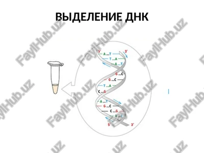 molekulyarno-geneticheskie metodi v issledovanii rasteniy — PPTX